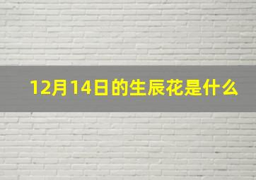 12月14日的生辰花是什么