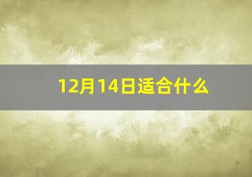 12月14日适合什么