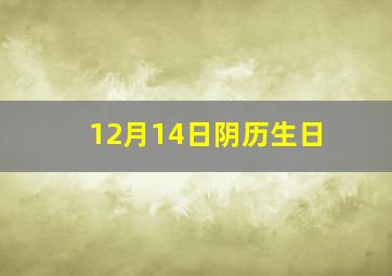 12月14日阴历生日