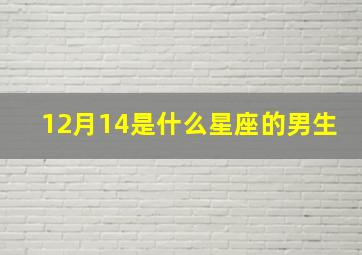 12月14是什么星座的男生