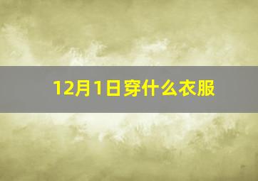 12月1日穿什么衣服