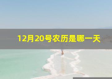 12月20号农历是哪一天