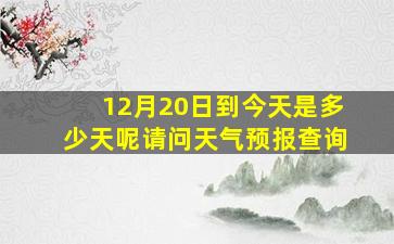 12月20日到今天是多少天呢请问天气预报查询