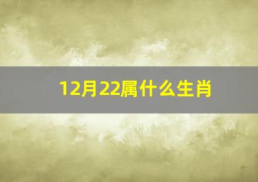 12月22属什么生肖