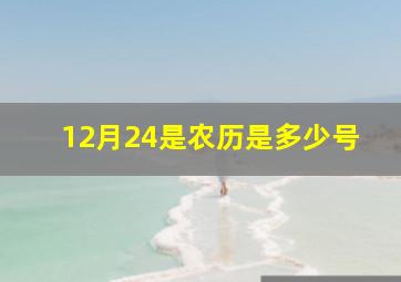 12月24是农历是多少号