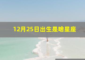 12月25日出生是啥星座