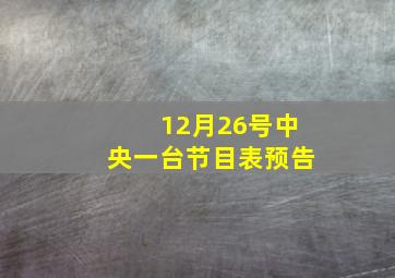 12月26号中央一台节目表预告