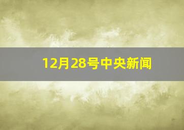 12月28号中央新闻