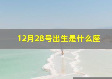 12月28号出生是什么座