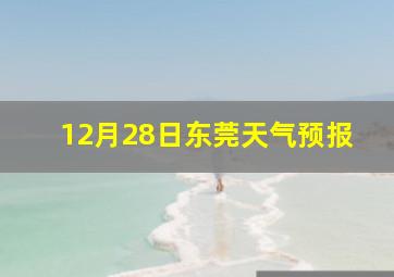 12月28日东莞天气预报