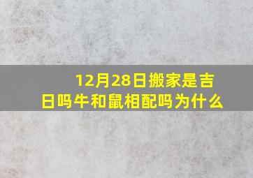 12月28日搬家是吉日吗牛和鼠相配吗为什么