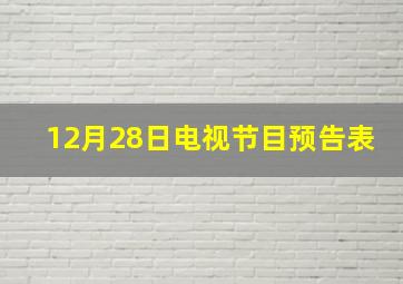 12月28日电视节目预告表