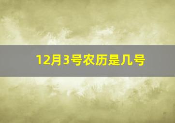 12月3号农历是几号