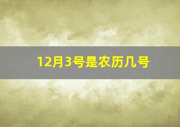 12月3号是农历几号