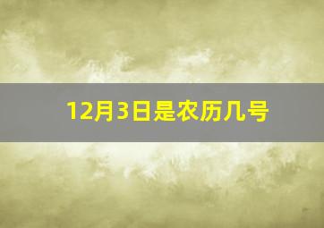 12月3日是农历几号