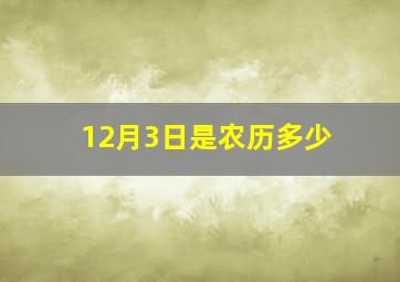 12月3日是农历多少