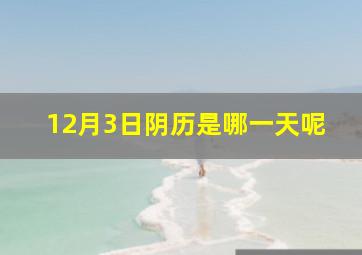 12月3日阴历是哪一天呢