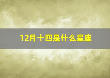 12月十四是什么星座