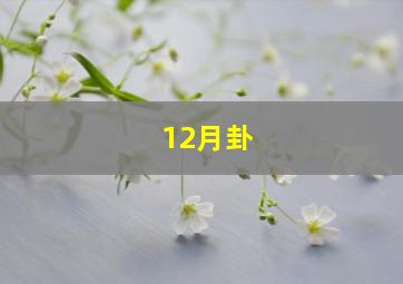 12月卦