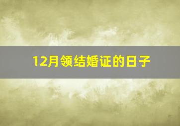 12月领结婚证的日子