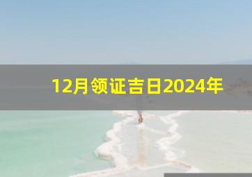 12月领证吉日2024年