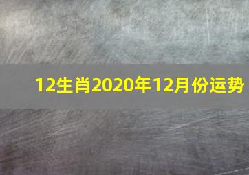 12生肖2020年12月份运势