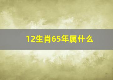 12生肖65年属什么