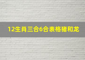 12生肖三合6合表格猪和龙