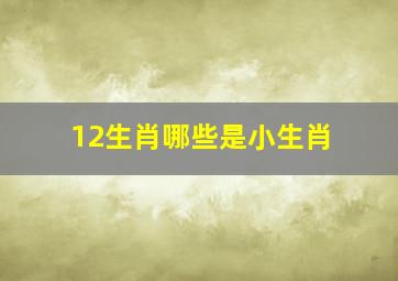 12生肖哪些是小生肖