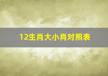 12生肖大小肖对照表