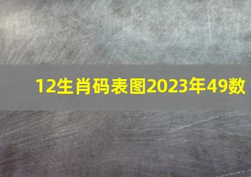 12生肖码表图2023年49数