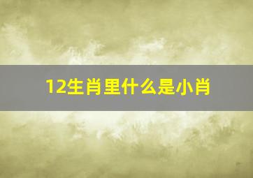 12生肖里什么是小肖