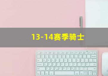 13-14赛季骑士