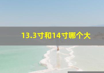 13.3寸和14寸哪个大