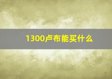 1300卢布能买什么