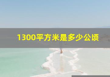 1300平方米是多少公顷