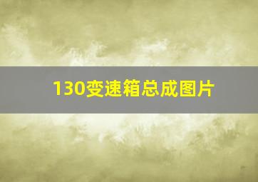 130变速箱总成图片