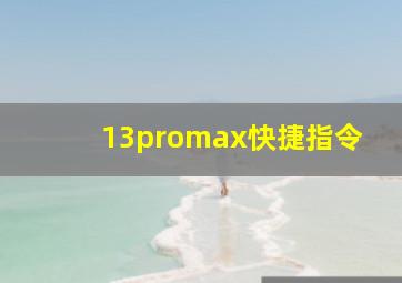 13promax快捷指令