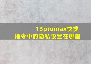 13promax快捷指令中的隐私设置在哪里