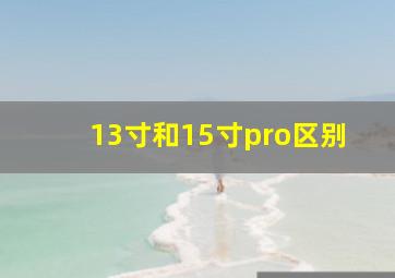 13寸和15寸pro区别