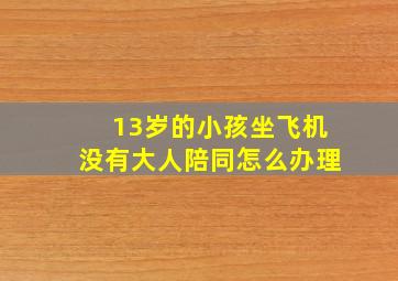 13岁的小孩坐飞机没有大人陪同怎么办理