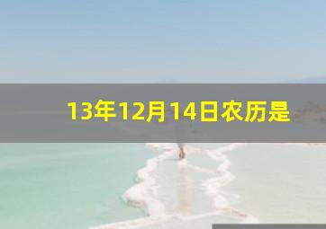 13年12月14日农历是