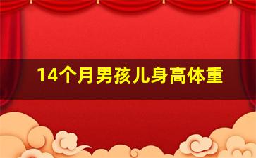 14个月男孩儿身高体重