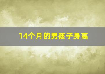 14个月的男孩子身高