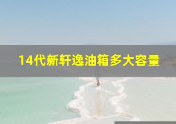 14代新轩逸油箱多大容量