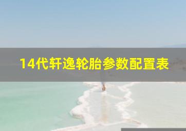 14代轩逸轮胎参数配置表