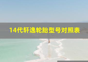 14代轩逸轮胎型号对照表