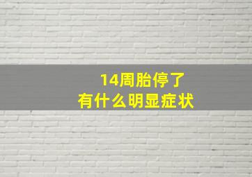 14周胎停了有什么明显症状