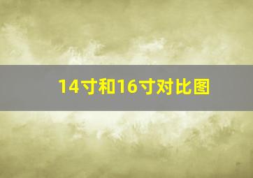 14寸和16寸对比图