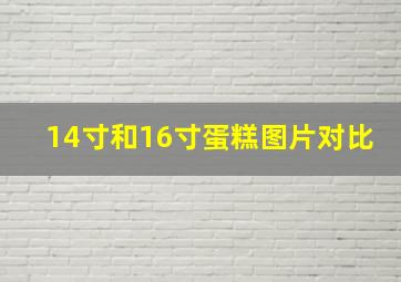 14寸和16寸蛋糕图片对比